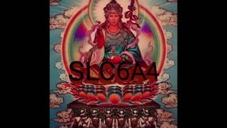 Step 3 Raphael: SLC6A4 Regulation for Peaceful Fearlessness