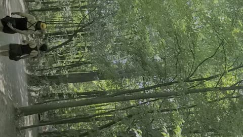 Walking around Nelson's ledges Ohio