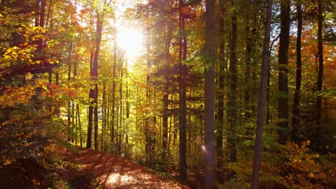 "Do not wait to strike till the iron is hot; but make the iron hot by striking.