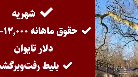 بورسیه فول فاند بدون مدرک زبان