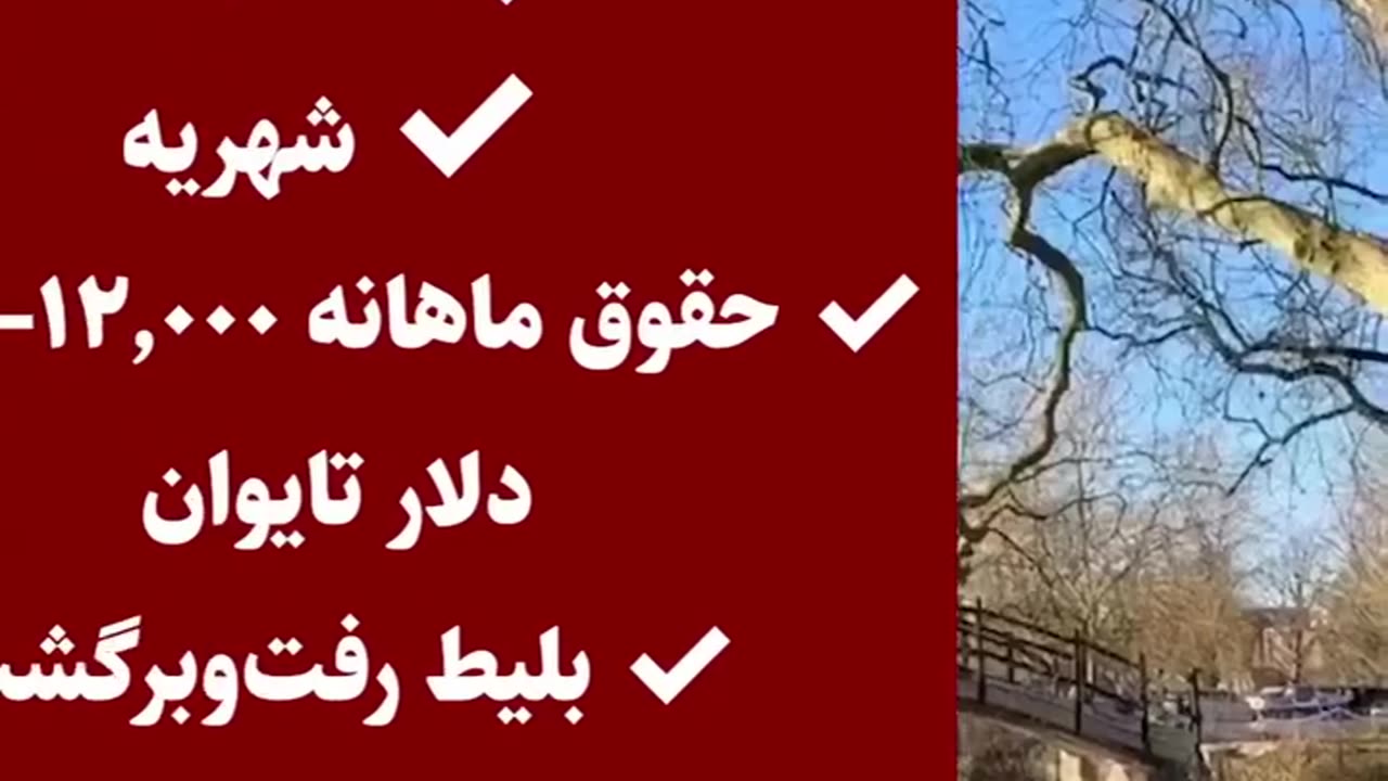 بورسیه فول فاند بدون مدرک زبان