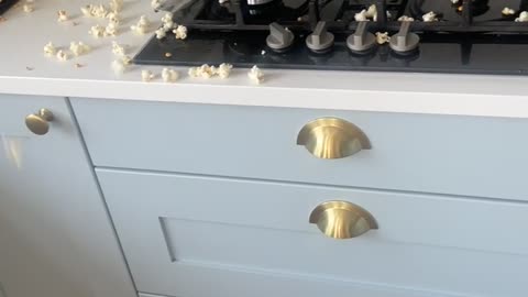 Cooking With Gen Z