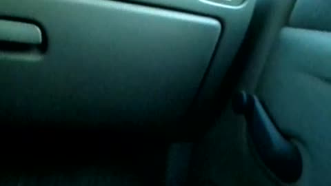 Discussing more of the dream