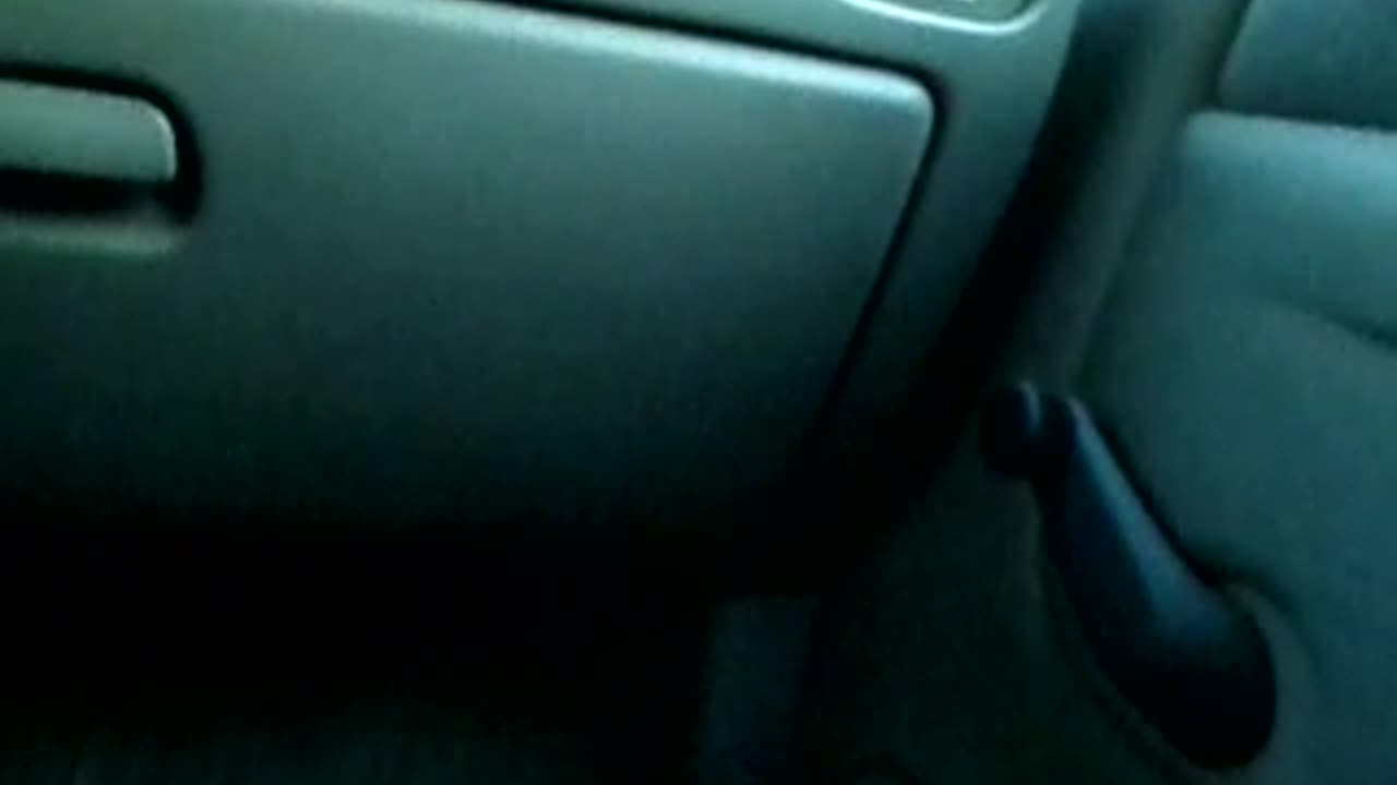 Discussing more of the dream