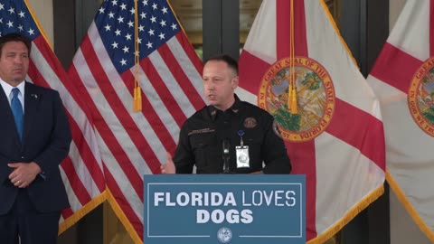 Governor DeSantis Signs Legislation to Protect Dogs from Abuse