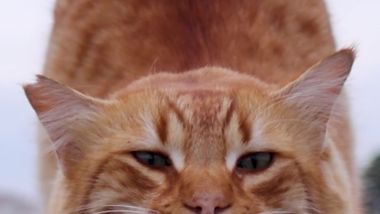 Heart smile on the inside meditation