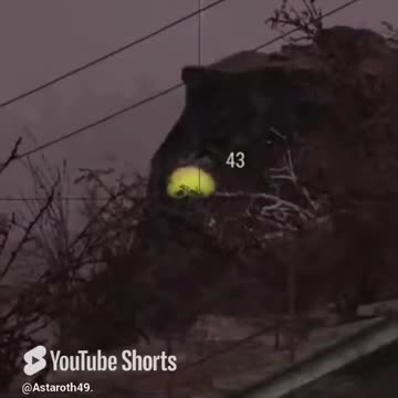 McDicken. Wasteland Survivalist? I don't sign up for this ☢️. #fallout76