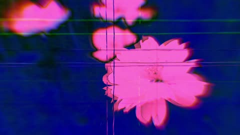 Down by the Salley Gardens (short poem)