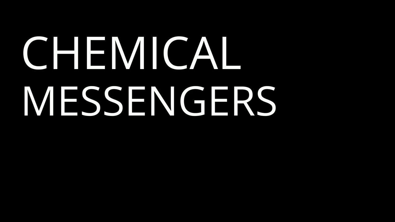 The Dark Science of Happiness | Freud - Part 1