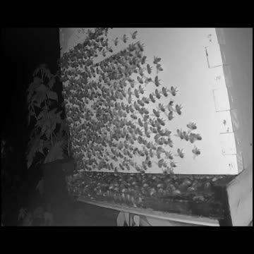 Saturday Morning Peek