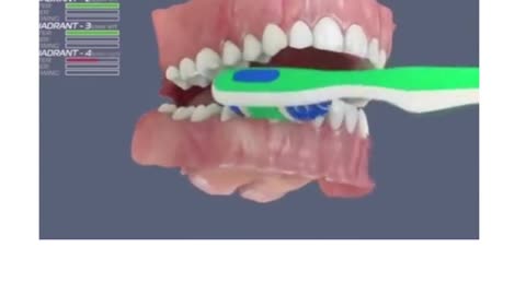 The correct way to brush your teeth d reach every tooth