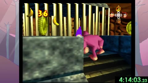 Donkey Kong 64 Randomizer Season 4 settings