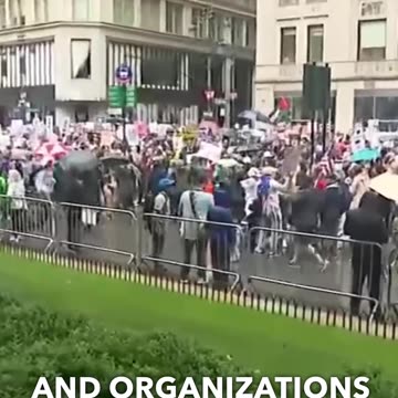 Massive Protest on Fifth Avenue Against Trump's Immigration Policies