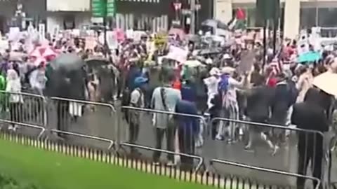 Massive Protest on Fifth Avenue Against Trump's Immigration Policies