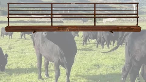 American-Made Freestanding Feed Bunk Panels