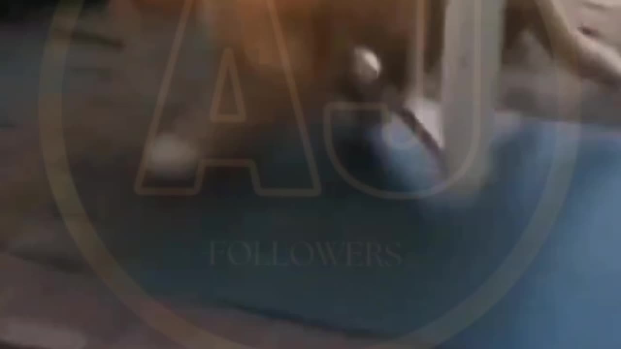 Funny video