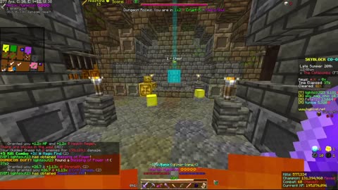 Skyblock FLOOR 7 [#2752]