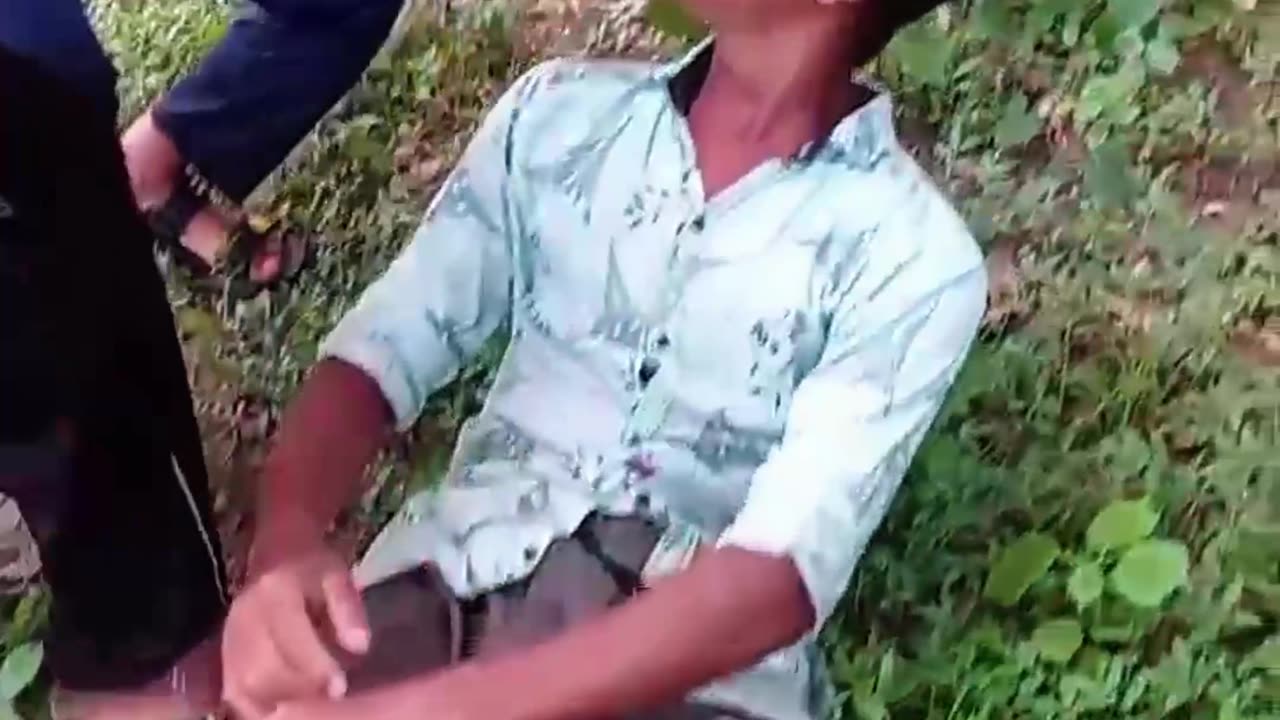 🤣 Crazy Funny Video That Made Everyone