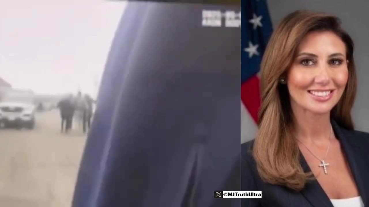 LaMonica McIver - Potentially Facing 17 Years in Prison