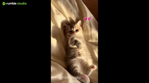 First Time Play Minecraft Java Edition