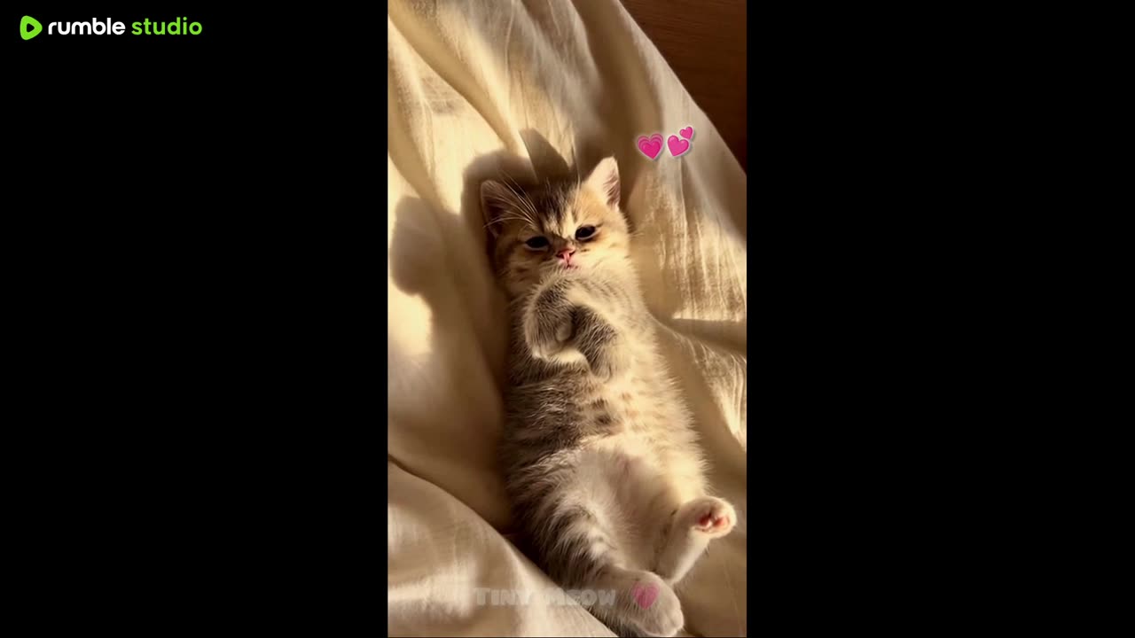 First Time Play Minecraft Java Edition