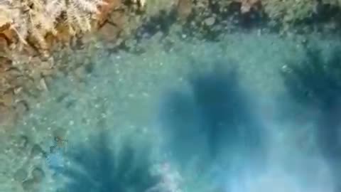 wonders of the world