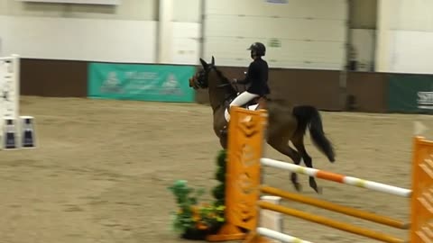 Rider Cartwheels Off Horse