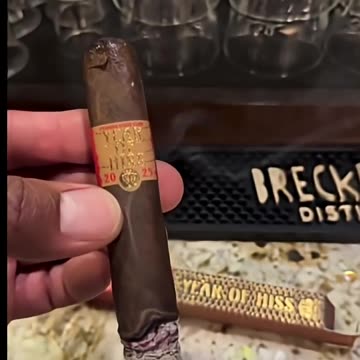 Year of the Hiss ( LCA Privada Club) 6x54 Box Press Toro #CigarOfTheDay #Short #Shorts #Review