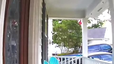 📦😂 Waiting Patiently for a Delivery... Or Not! | FunFM
