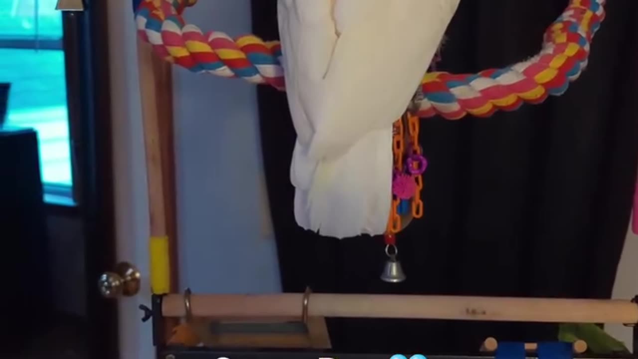 Wait For I! t