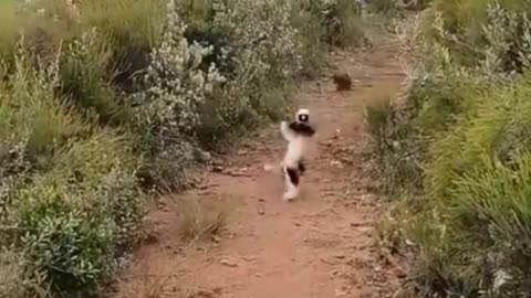 Super funny 😂🤣