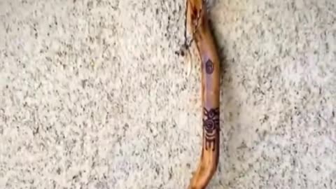 TAKE OFF YOUR SUNGLASSES