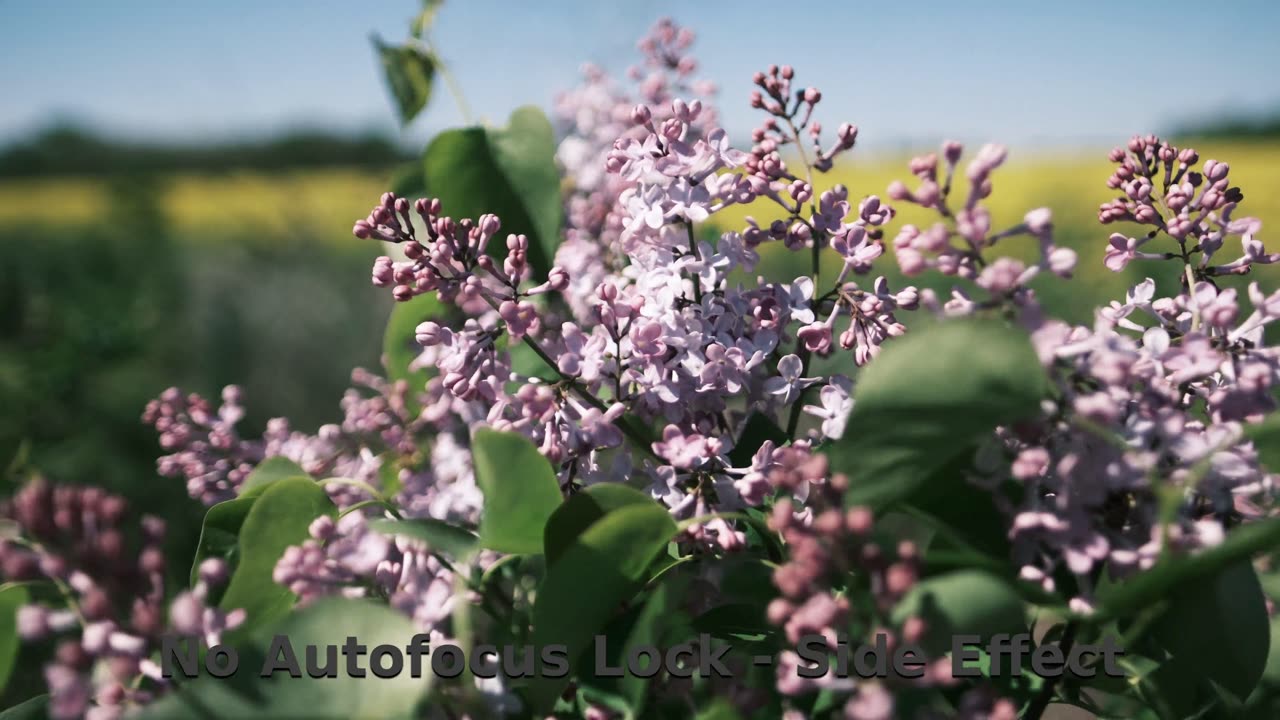 Thema: Focus [NegativeClassic]