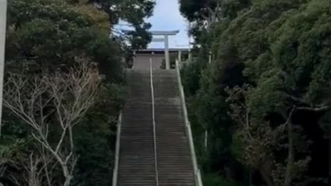 How to Behave at a Japanese Shrine ⛩️🛐
