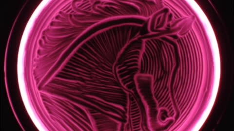 Horse Kinetic Sand Art