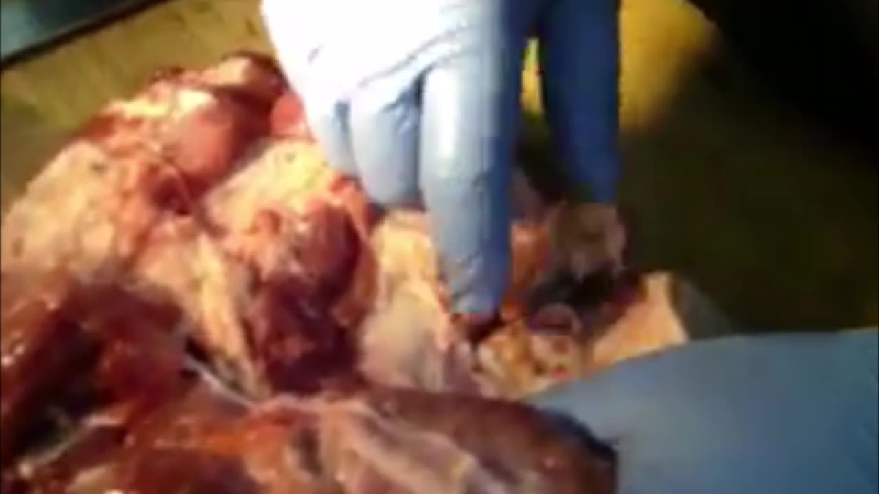 Flash Back Ammo Testing EA Trident Body Armor Meat Test