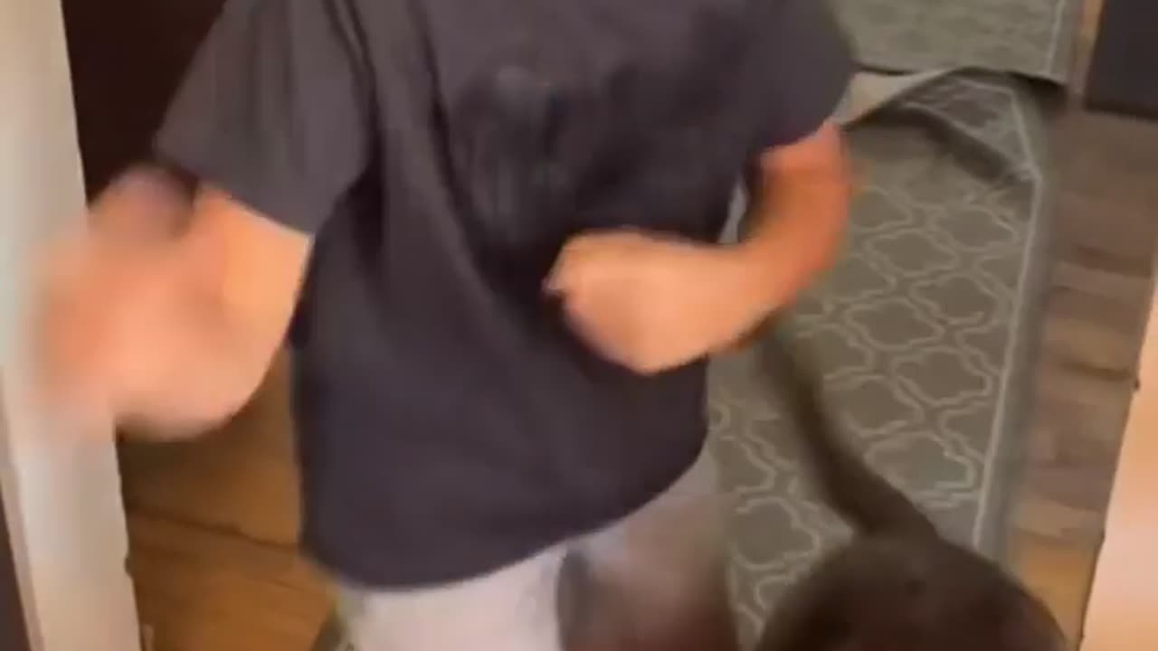 😆🐕 When The Dog Just Hates You – Awkward AF! | FunFM