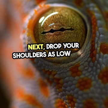 Fall Asleep in 2 Minutes Military Method!