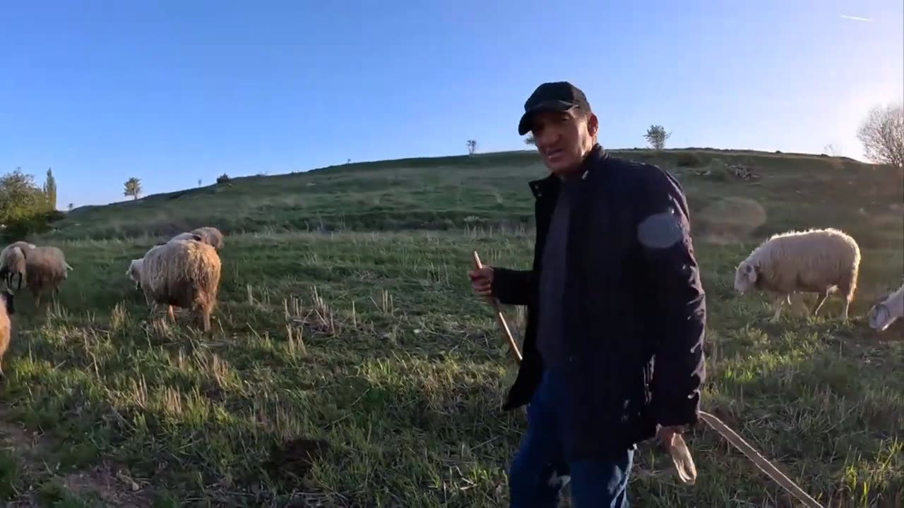 Images choquantes ! Une créature ressemblant à un arbre a soudainement disparu.