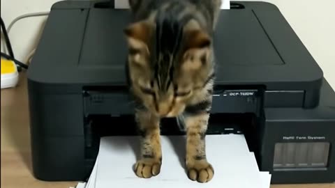 That's Not a Glitch in the Matrix... It's Just TAIGER #aicat