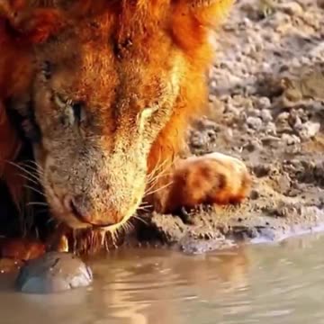 “Stop drinking my house” 😂