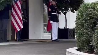 Donald Trump the best President