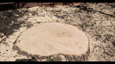 Agri-Con Tree Care Professionals