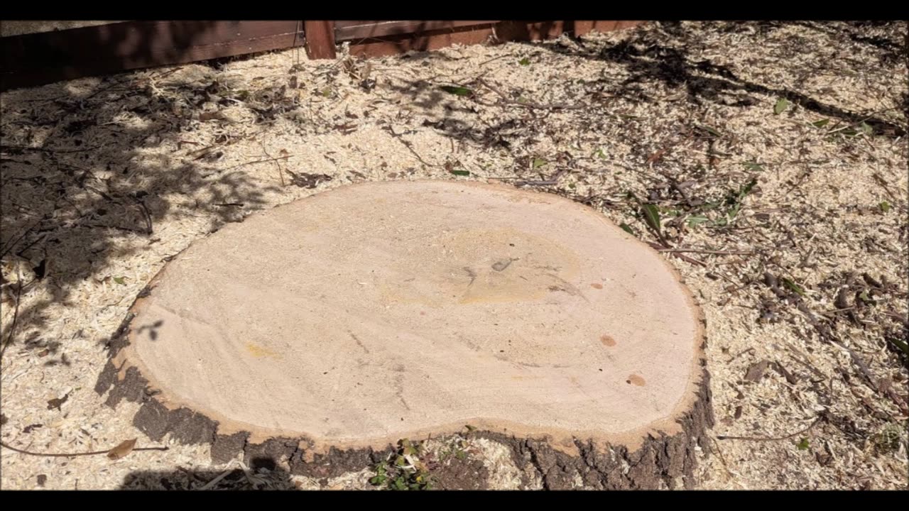 Agri-Con Tree Care Professionals