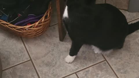 Storm is my name