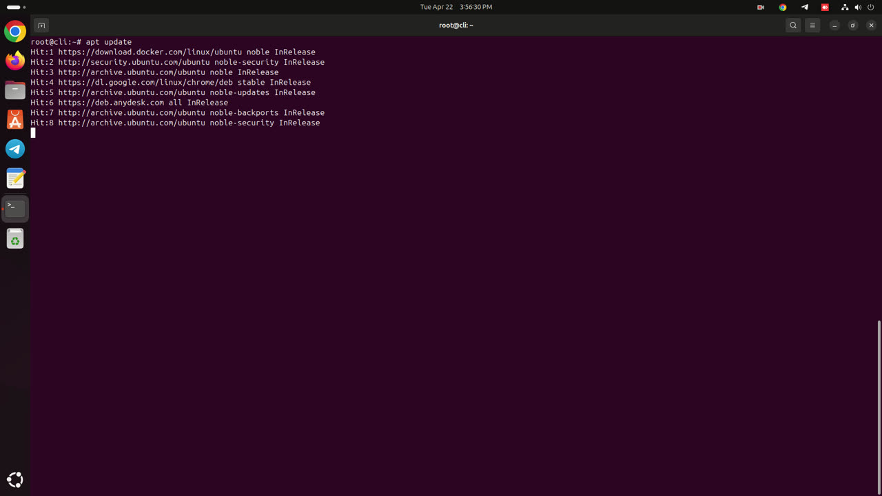 Ubuntu 24.04.2 LTS Linux EXPERT Service