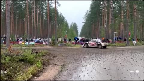Craziest WRC 2024 Moments – Crashes, Saves & Loud Engines!