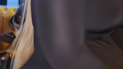 queenvee
