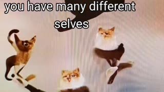 You have many different selves