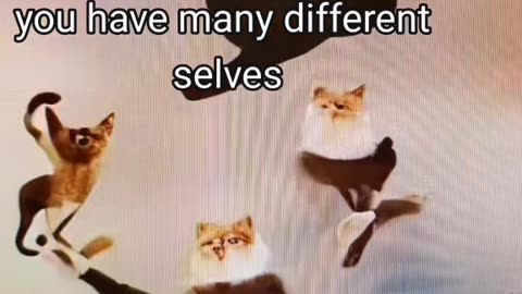You have many different selves